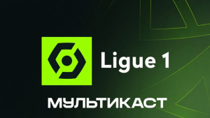 Французская Лига 1 / СИМУЛКАСТ / МУЛЬТИКАСТ / 9 матчей в одном эфире (17.05.2026)
